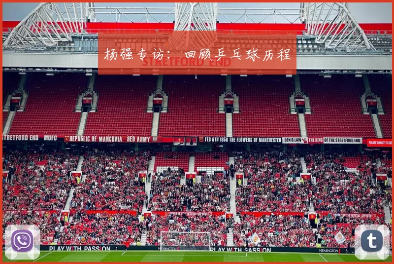 杨强专访：回顾乒乓球历程