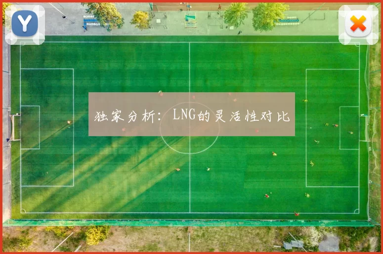 独家分析：LNG的灵活性对比