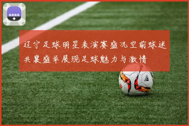 辽宁足球明星表演赛盛况空前球迷共襄盛举展现足球魅力与激情
