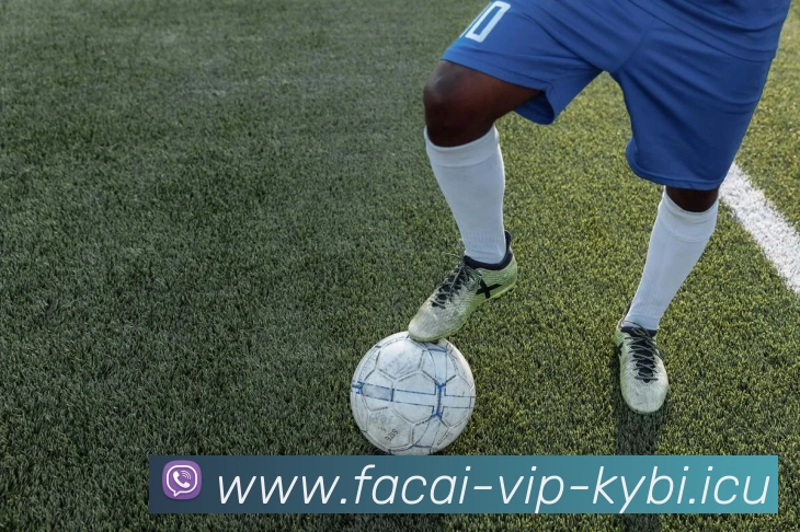 乐竞体育APP 封面图